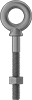 Eyebolts with Nuts—For Lifting