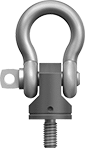 Image of Product. Front orientation. Hoist Rings. Removable-Shackle Hoist Rings—For Lifting.