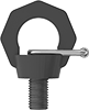 Eyebolts