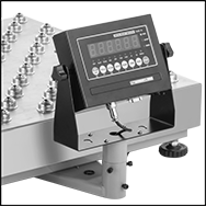 Image of Product. Display Mounted to Scale. Front orientation. ZoomedIn view. Contains Border. Scales. Legal-for-Trade Inline Conveyor Scales, Ball-Transfer Conveyor.
