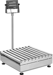 Image of Product. Front orientation. Scales. Legal-for-Trade Inline Conveyor Scales, Roller Conveyor.