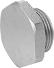 Pipe Plugs