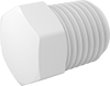 Pipe Plugs