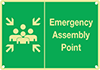 Assembly Point Signs