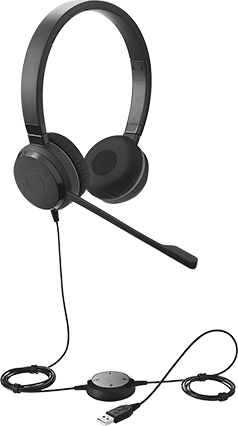 Image of Product. Front orientation. Headset with Microphone, Dual Sound Output.