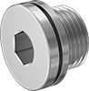 Pipe Plugs
