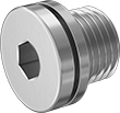 Image of Product. Male. Front orientation. Pipe and Fittings. Low-Pressure Stainless Steel Threaded Pipe Fittings, Hex-Drive Plugs with Copper Washer, Male, Threaded Fitting Connection.