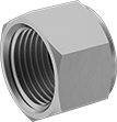 Image of Product. Female. Front orientation. Pipe and Fittings. Plastic Pipe Fittings for Oil, External-Hex-Drive Caps, Female, Threaded Fitting Connection, Hex Body.