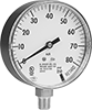 Fire-Sprinkler Pressure Gauges