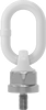 Hoist Rings