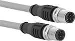Image of Product. D-Coded Plug × D-Coded Plug. Front orientation. Ethernet Cords. Ethernet Cords with M12 Connectors, Straight End, Plug, D Code.