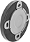Pipe Flanges