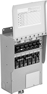 Image of Product. Front orientation. Transfer Switches. Manual Transfer Switches, NEMA 1.