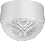 Image of Product. Front orientation. Speakers. Hanging Speakers.