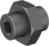 Extreme-Pressure Iron and Steel Threaded Pipe Fittings