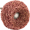 Shank