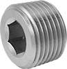Pipe Plugs