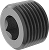 Pipe Plugs