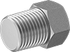 Pipe Plugs