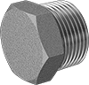 High-Pressure Stainless Steel Threaded Pipe Fittings