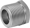 High-Pressure Stainless Steel Threaded Pipe Fittings