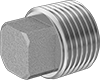 Pipe Plugs
