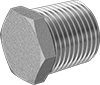 Pipe Plugs