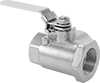 Diverting Valves