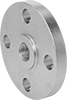 Low-Pressure Stainless Steel Threaded Pipe Flanges