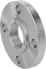 Low-Pressure Stainless Steel Threaded Pipe Flanges