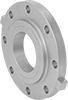Low-Pressure Aluminum Threaded Pipe Flanges