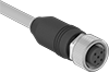 Electrical Cords
