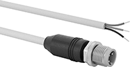 Image of Product. M12 Plug × Wire Leads. Front orientation. Metric Circular Cords. M12 Cords, M12 Plug × Wire Leads.