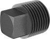Image of Product. NPT Male. Front orientation. Pipe and Fittings. High-Pressure Iron and Steel Threaded Pipe Fittings, External-Square-Drive Plugs, Threaded Fitting Connection, Male, Square Body.