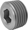 Pipe Plugs