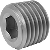 Pipe Plugs