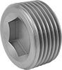 Pipe Plugs