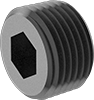 Pipe Plugs