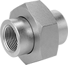 High-Pressure Stainless Steel Threaded Pipe Fittings