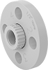 CPVC Pipe Flanges for Chemicals