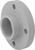 CPVC Pipe Flanges for Chemicals