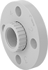 CPVC Pipe Flanges for Chemicals