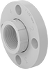 CPVC Pipe Flanges for Chemicals