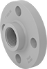 CPVC Pipe Flanges for Chemicals
