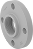 CPVC Pipe Flanges for Chemicals