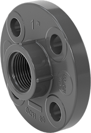Image of Product. Front orientation. Thick-Wall Plastic Pipe Fitting for Water, Fixed Flange, 1 NPT Female.