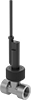Flow Switches