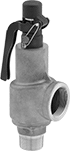 Image of Product. Valve With Test Lever. Front orientation. Pressure-Relief Valves. Remote-Discharge ASME-Code Fast-Acting Pressure-Relief Valves for Air and Inert Gas, Male Inlet, Female Relief Port, Bronze Body, Lever.