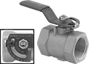 Image of Product. Straight with Flow-Indicating Lever Handle. Front orientation. Contains Inset. Flow-Adjustment Valves. Threaded Flow-Adjustment Valves, Bronze Body, NPT Thread, Straight, Female, Flow-Indicating Lever Handle.