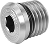 Pipe Plugs